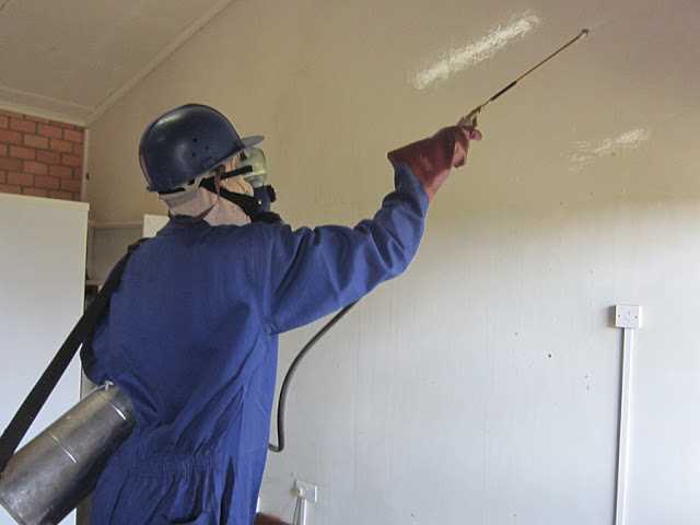 Pest Control – Cannot Do Without This Service